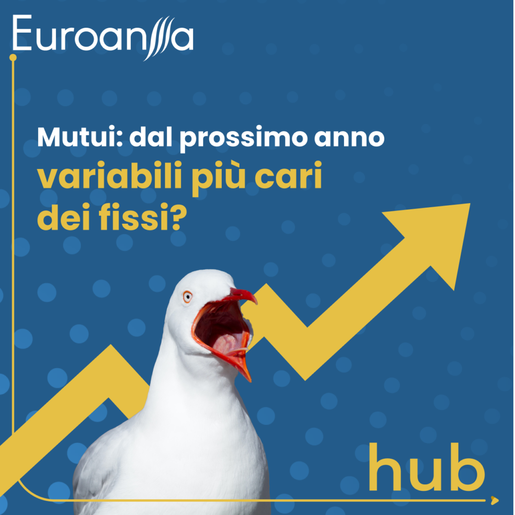 Euroansa Hub - Social Media Pic 2