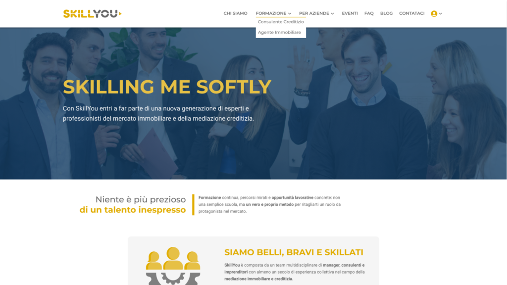 Skillyou - Main Website Pic
