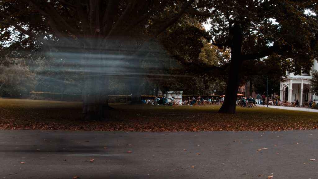 Daily Ghosts - Photo Pic 3