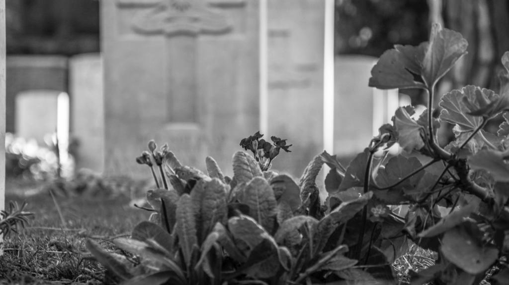 Silent Light - Photo Pic 9