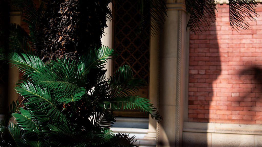 Urban Nature - Photo Pic 13