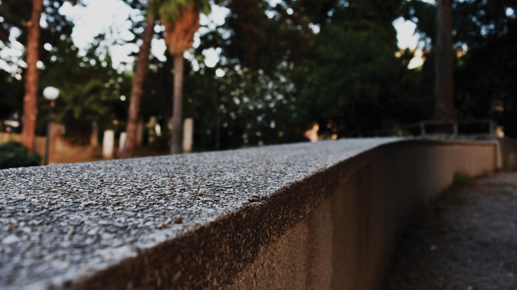 Urban Nature - Photo Pic 14