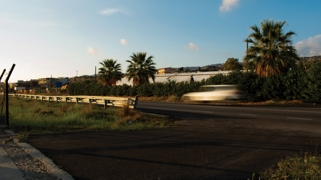 Urban Nature - Photo Pic 15