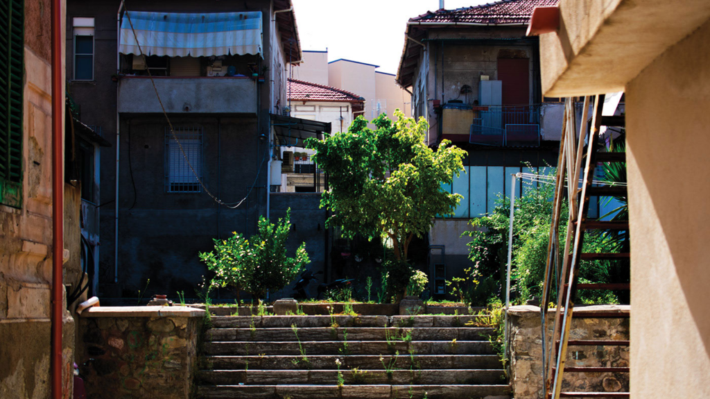 Urban Nature - Photo Pic 17
