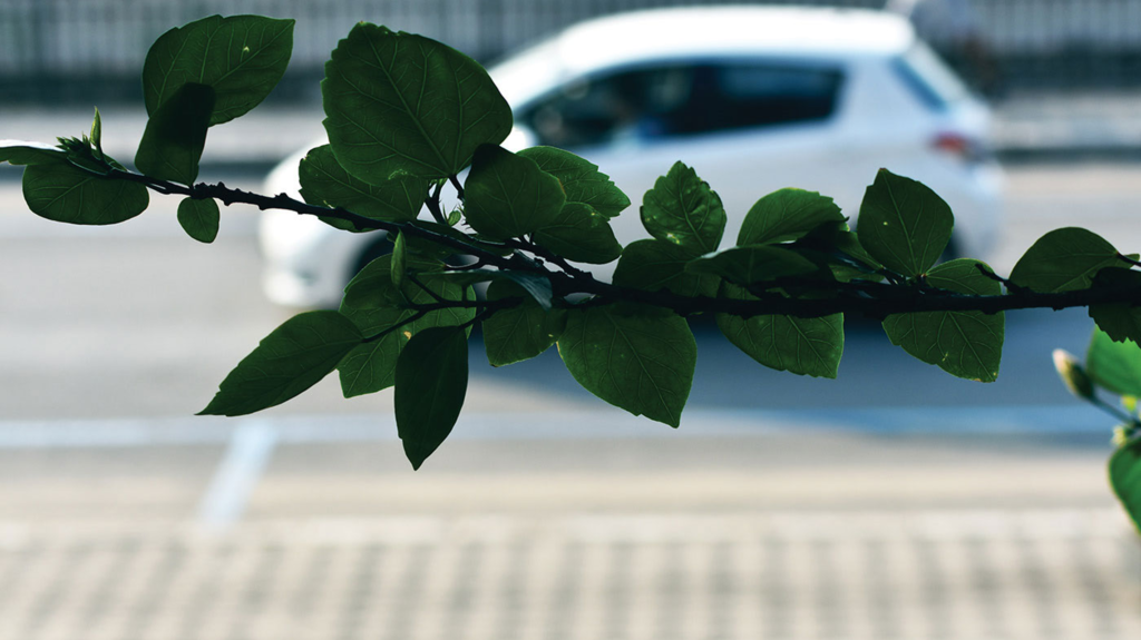 Urban Nature - Photo Pic 2