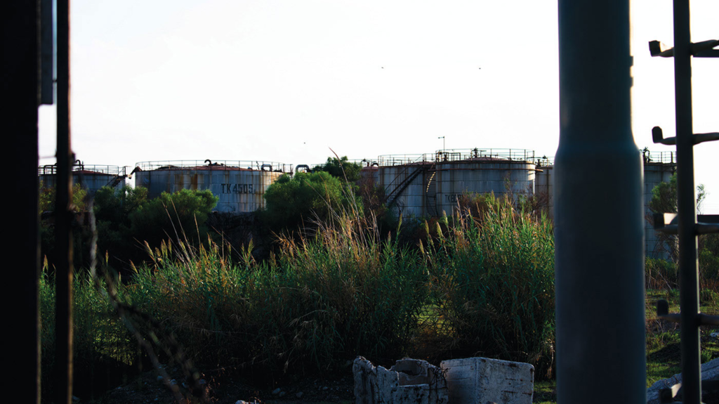 Urban Nature - Photo Pic 20