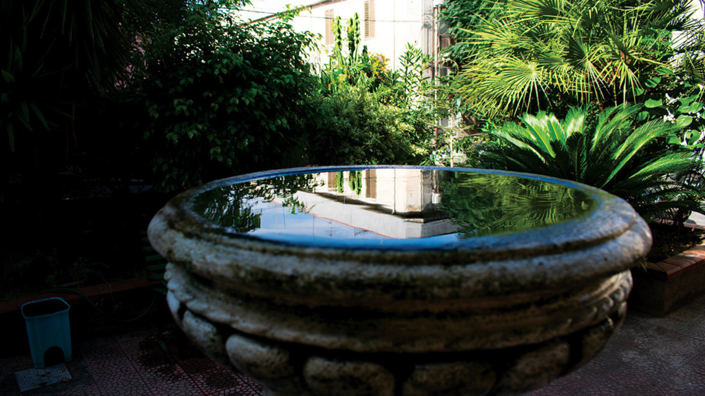 Urban Nature - Photo Pic 21