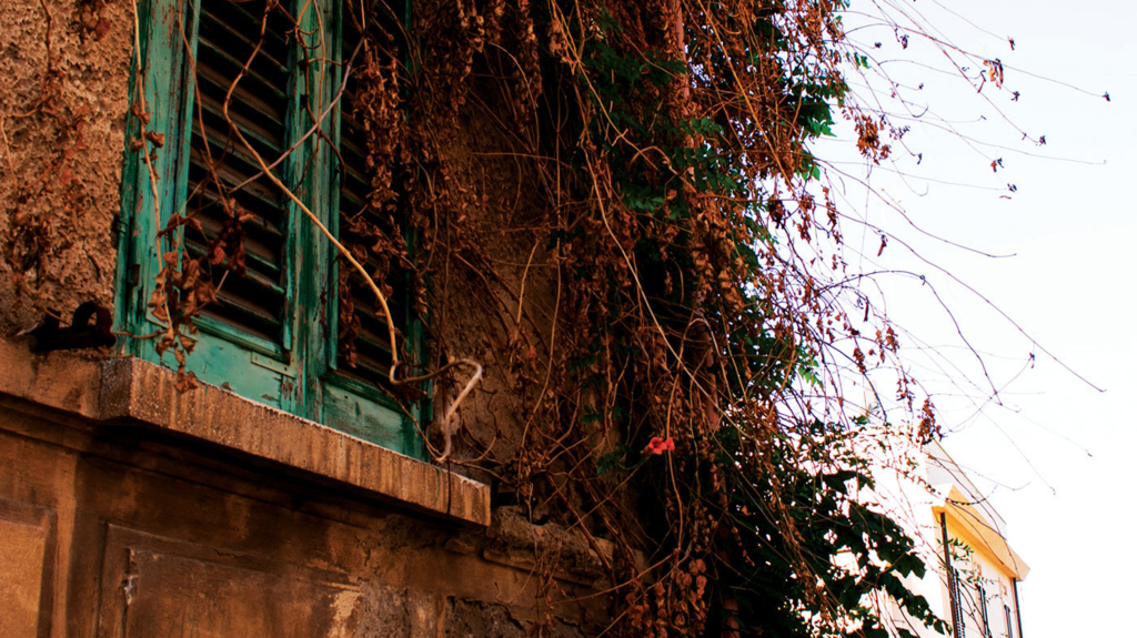 Urban Nature - Photo Pic 3