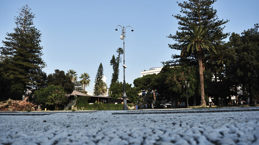 Urban Nature - Photo Pic 5